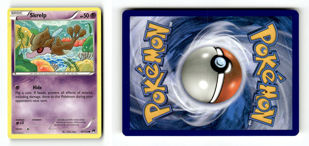 Front + Back scan