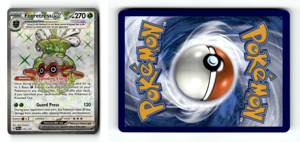 Front + Back scan