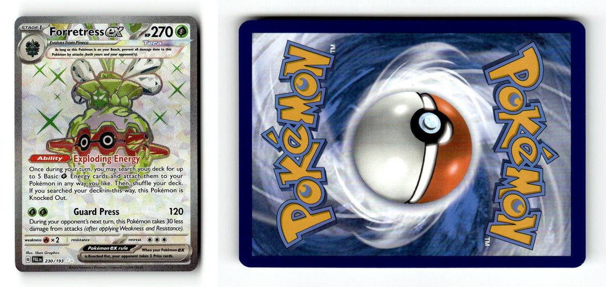 Front + Back scan