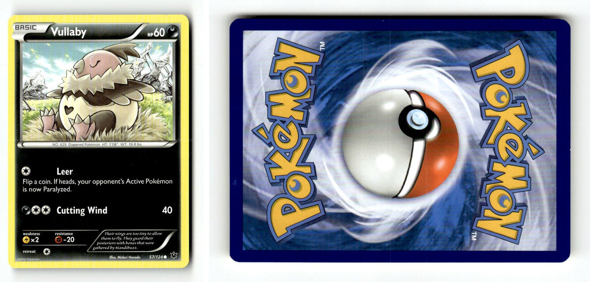 Front + Back scan