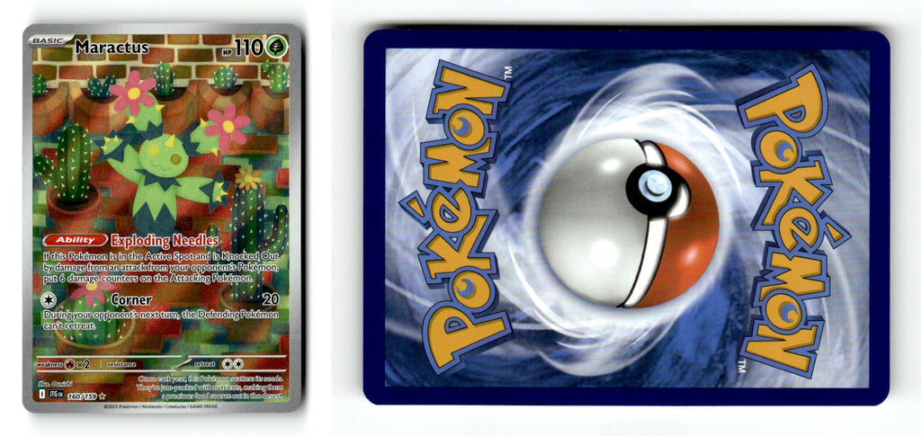 Front + Back scan