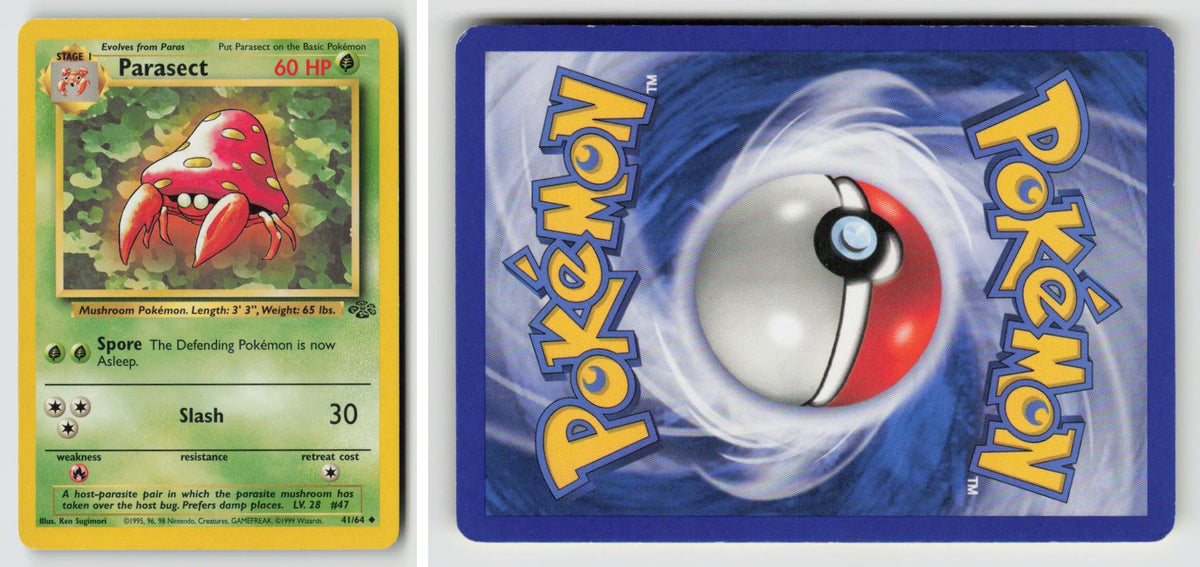 Front + Back scan