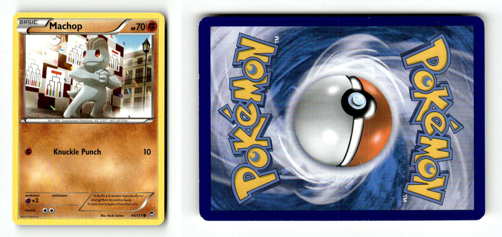 Front + Back scan