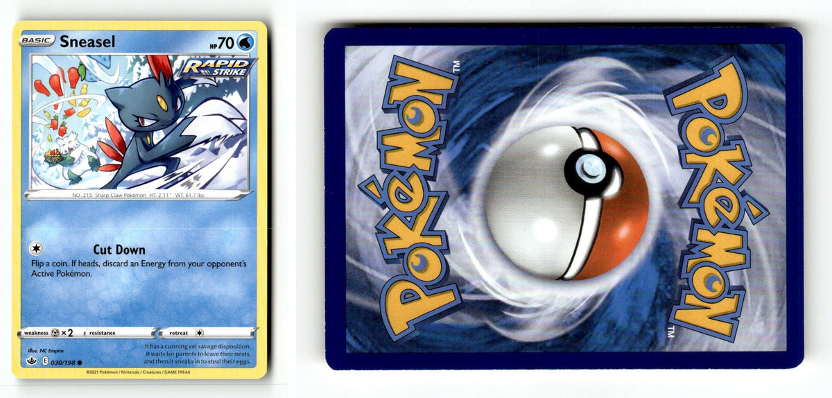 Front + Back scan