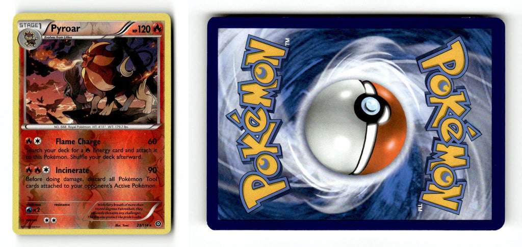 Front + Back scan