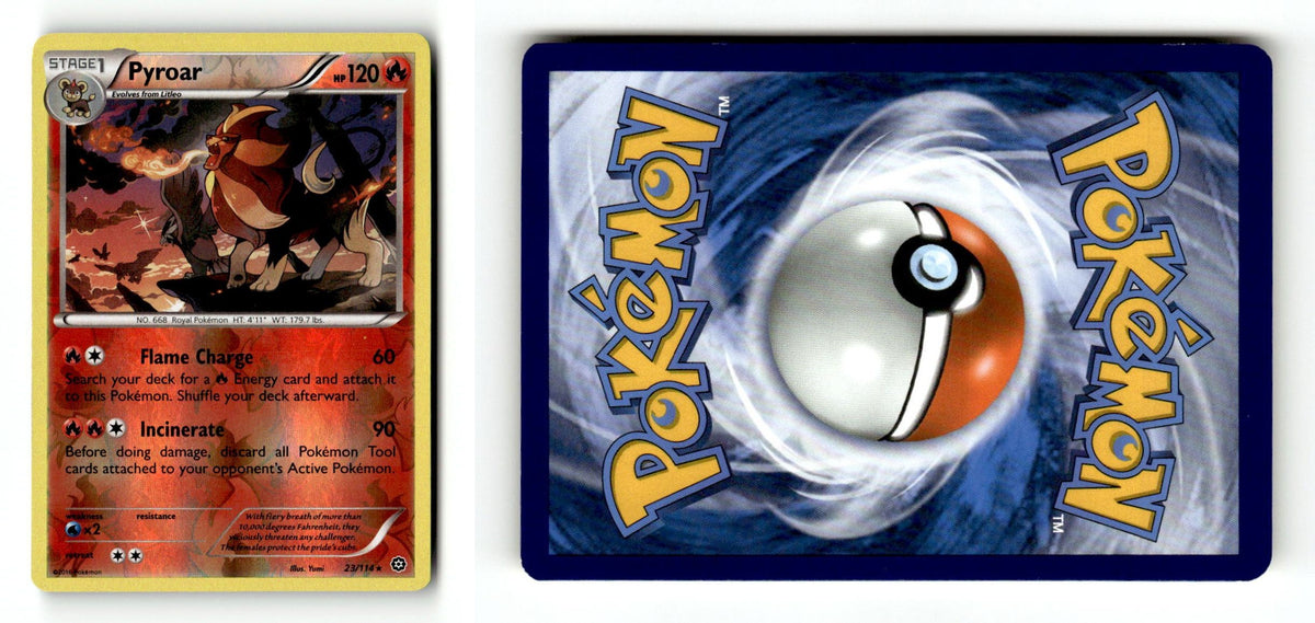 Front + Back scan