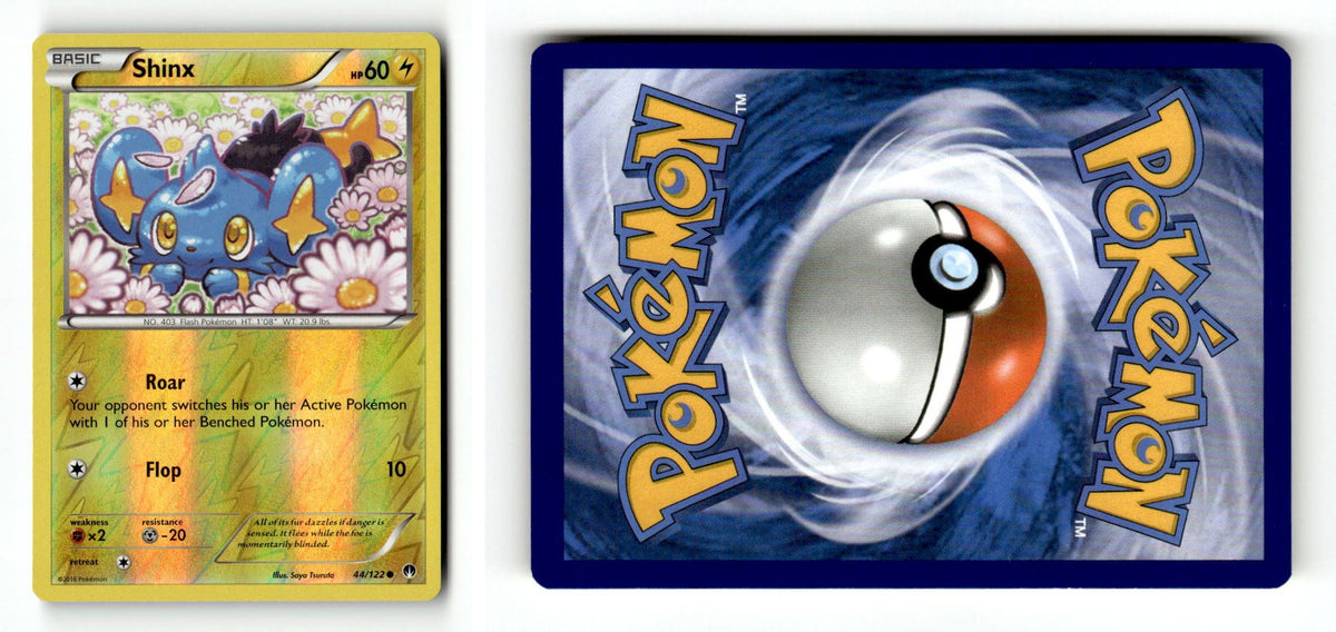 Front + Back scan