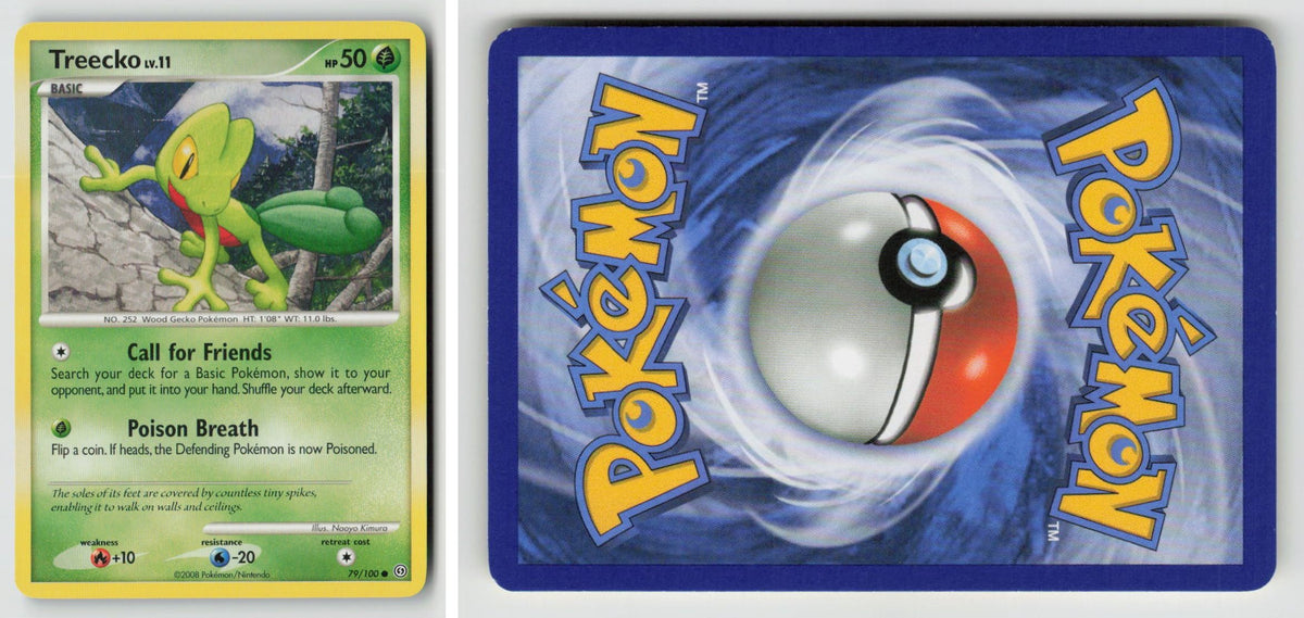 Front + Back scan