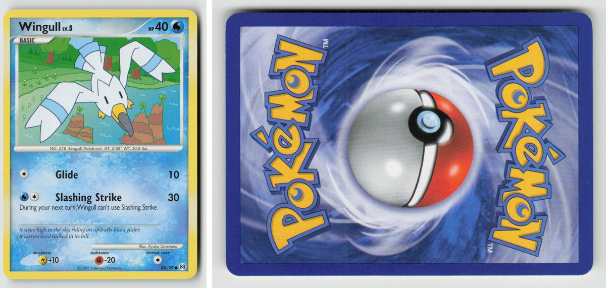 Front + Back scan