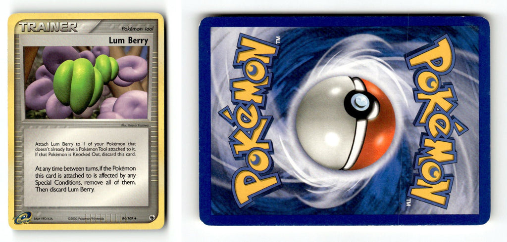 Front + Back scan