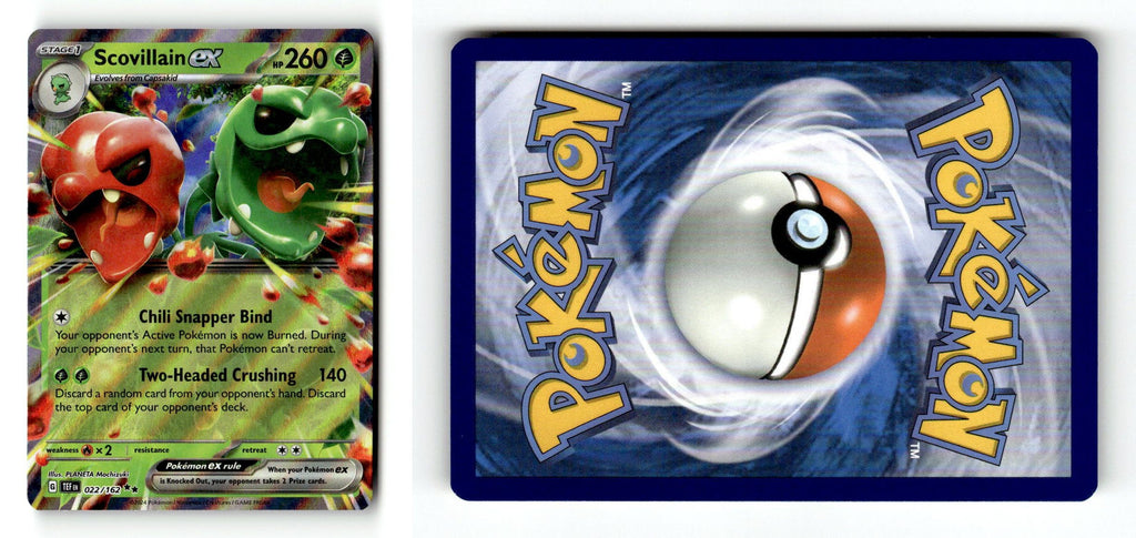 Front + Back scan