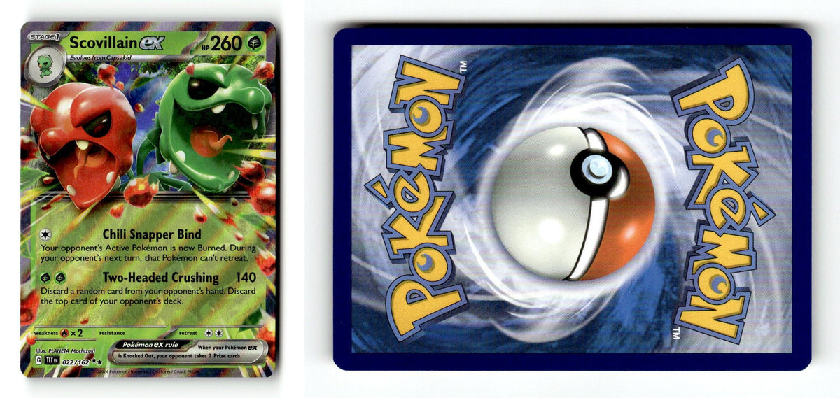 Front + Back scan