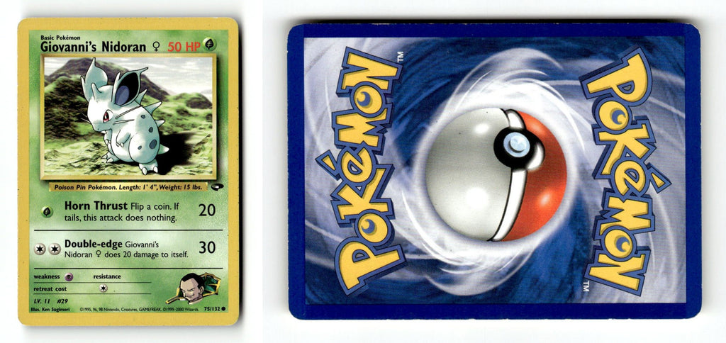 Front + Back scan