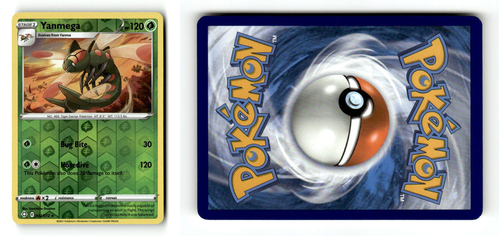 Front + Back scan