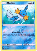 Mudkip (32)