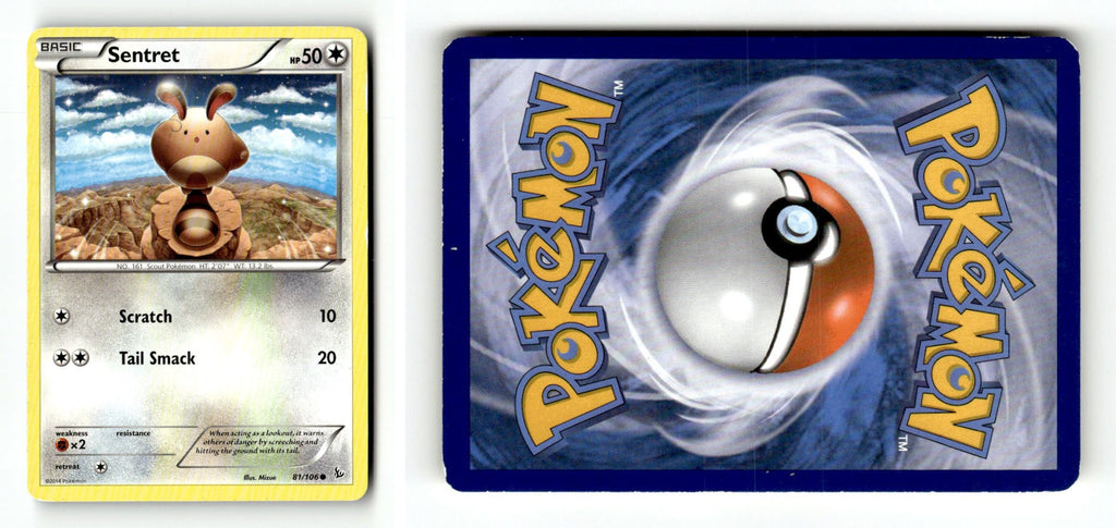 Front + Back scan