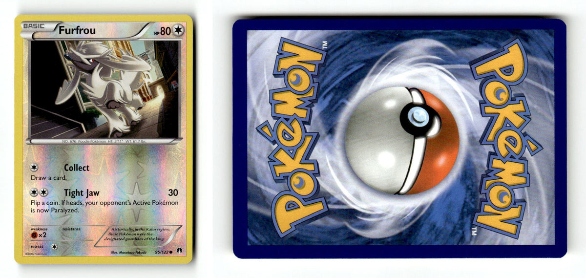 Front + Back scan