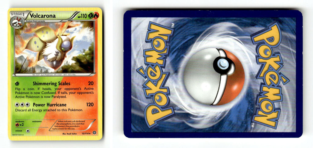Front + Back scan