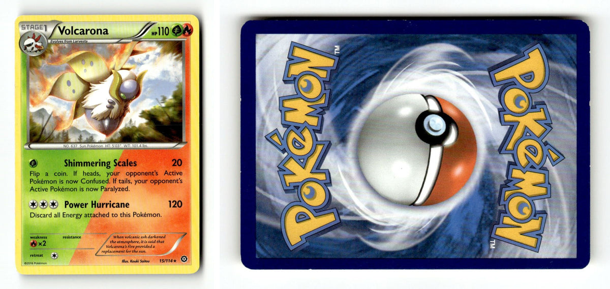 Front + Back scan