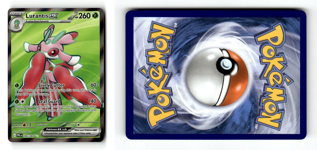 Front + Back scan