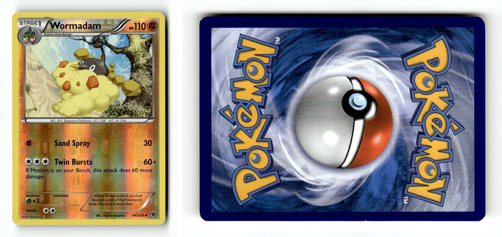 Front + Back scan