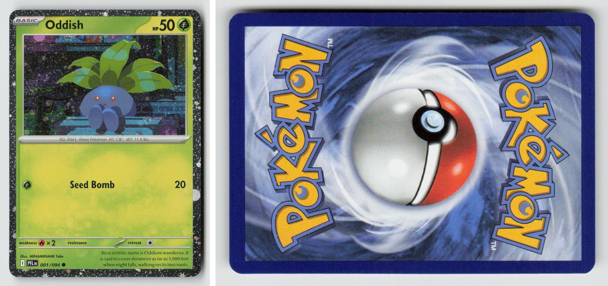 Front + Back scan