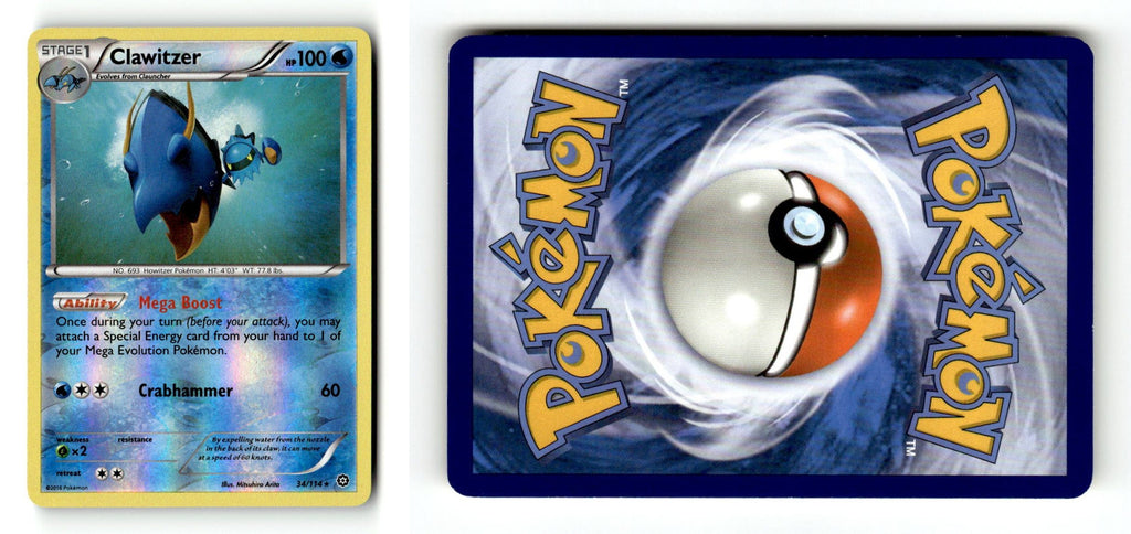Front + Back scan