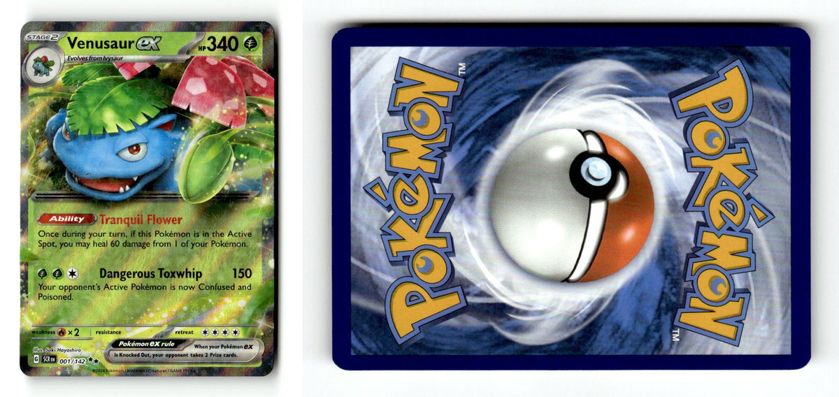 Front + Back scan