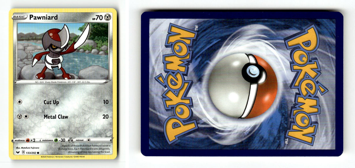Front + Back scan