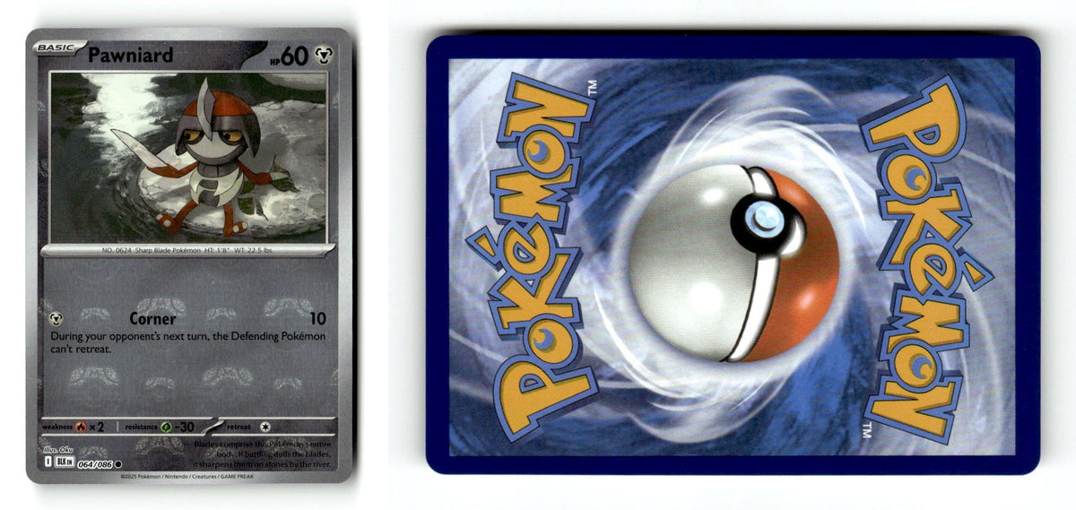 Front + Back scan