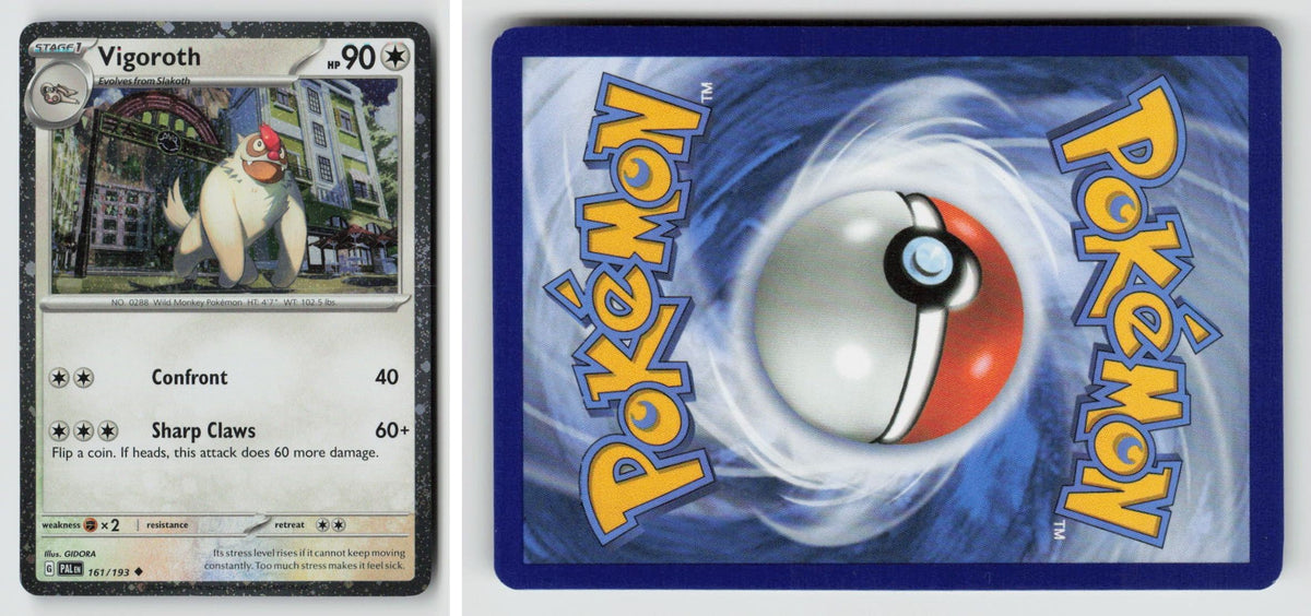 Front + Back scan