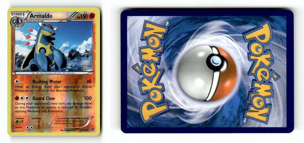 Front + Back scan