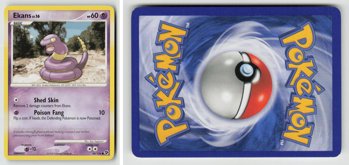 Front + Back scan