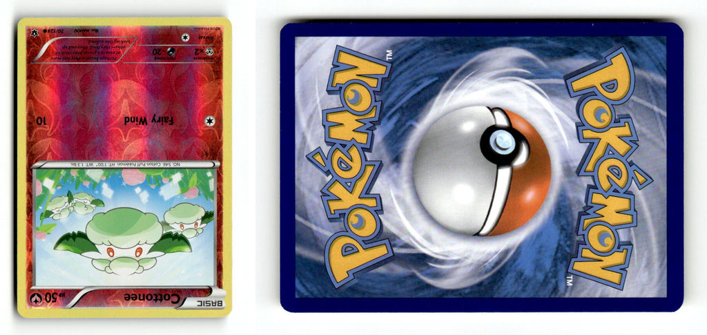 Front + Back scan