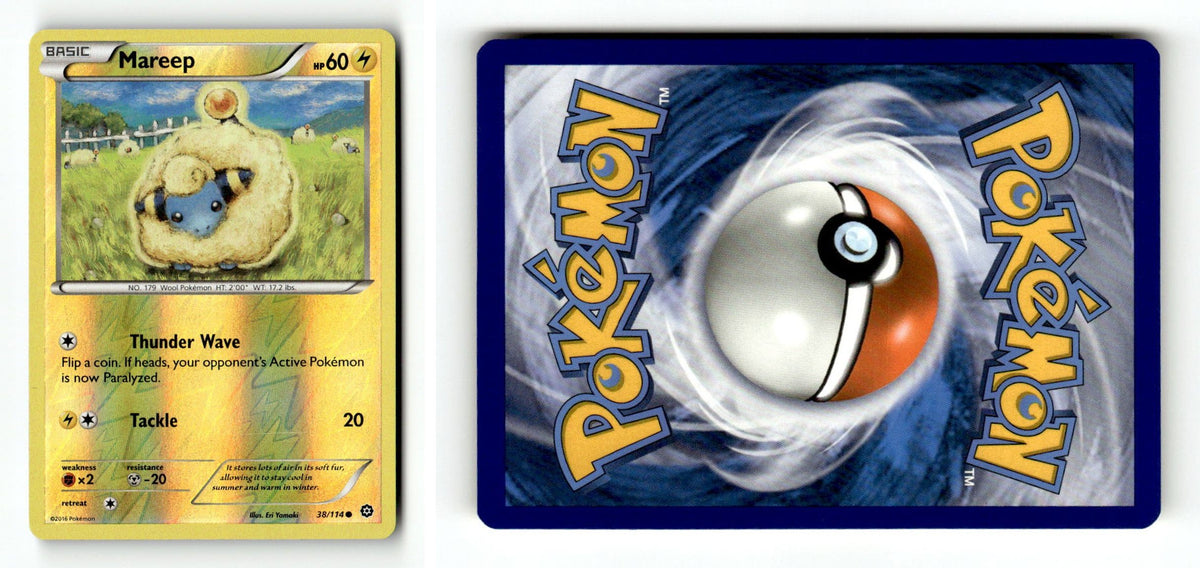 Front + Back scan