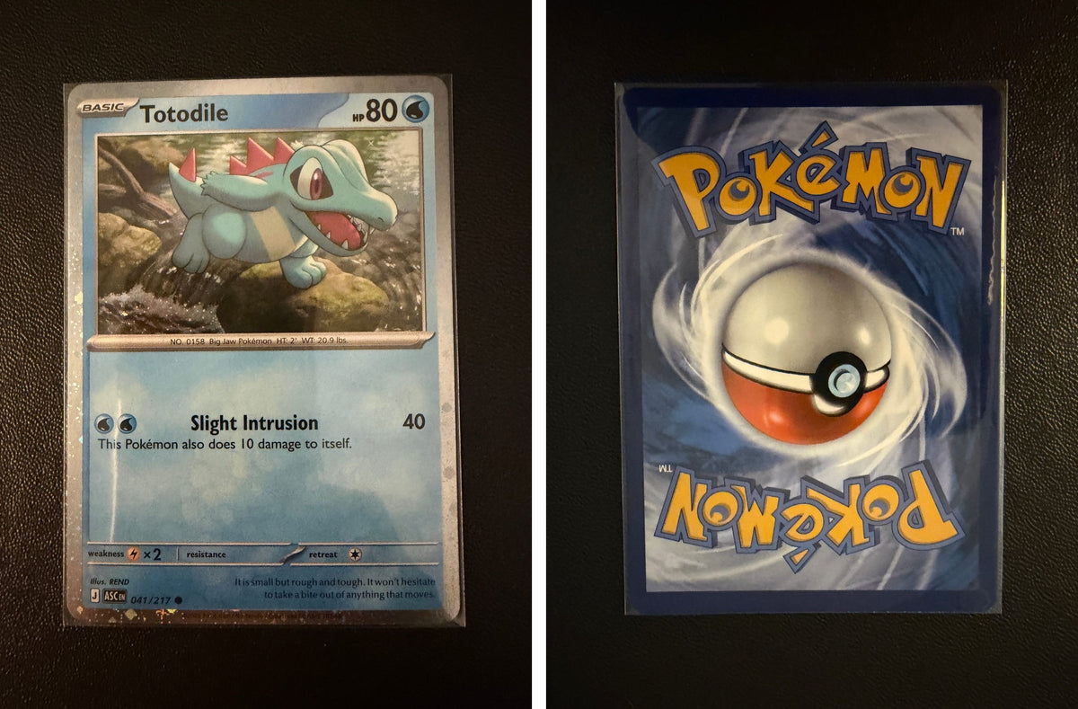 Front + Back scan