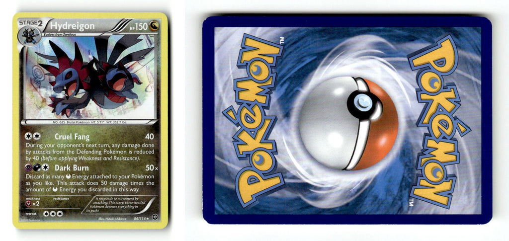 Front + Back scan