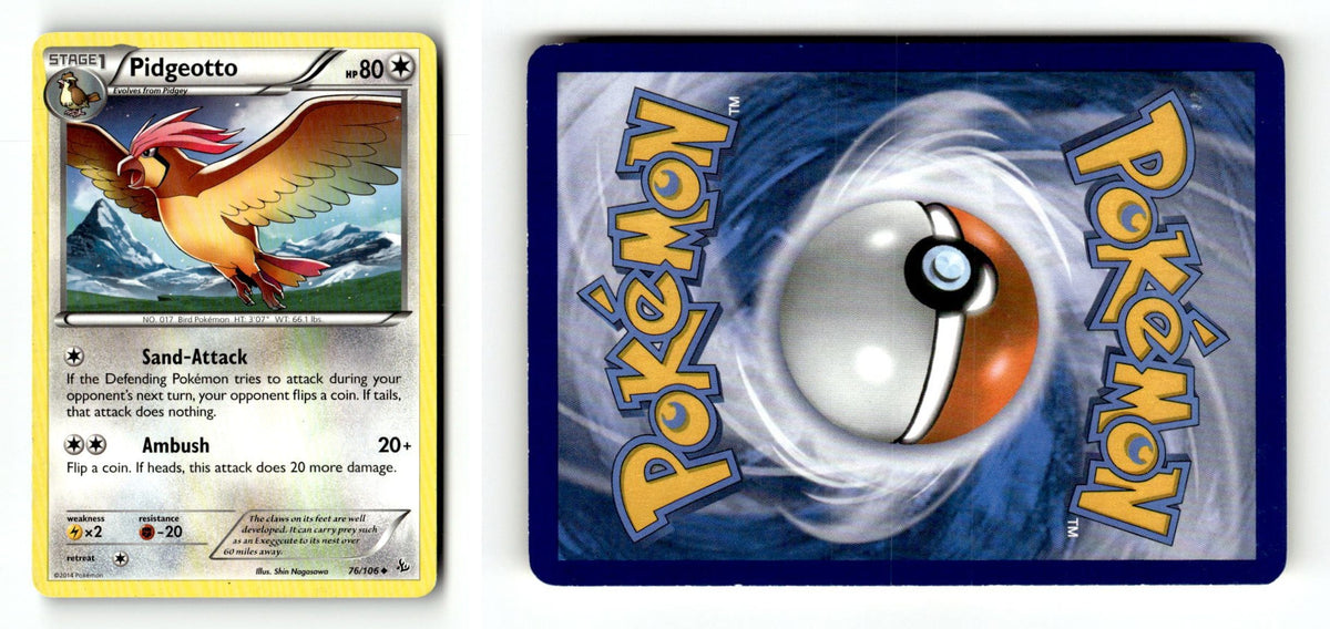 Front + Back scan