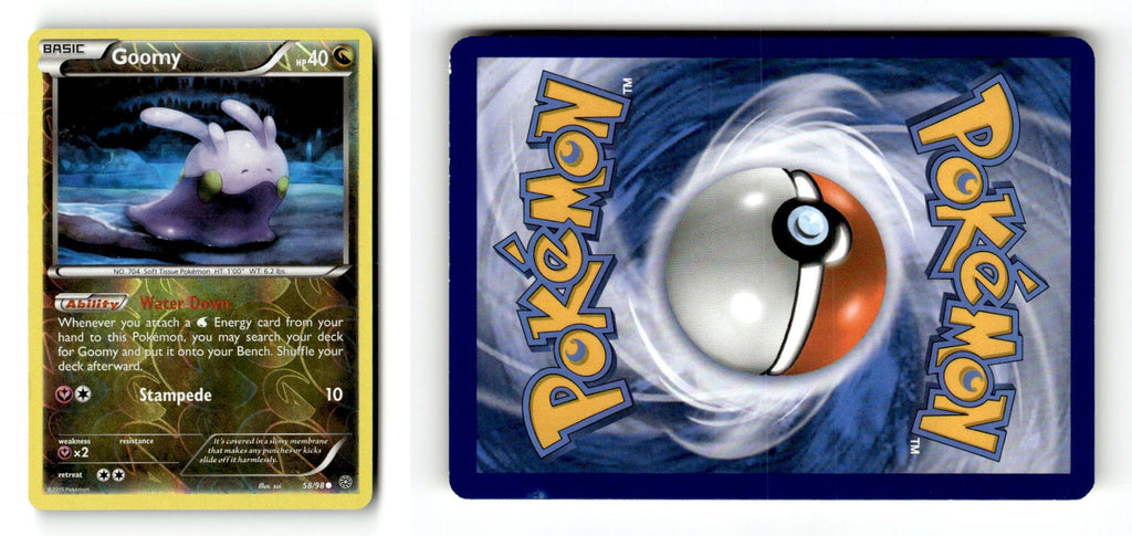 Front + Back scan