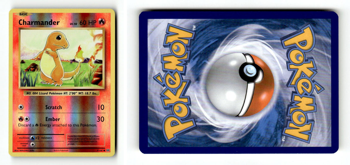 Front + Back scan