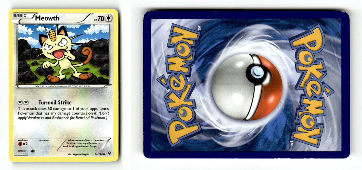 Front + Back scan