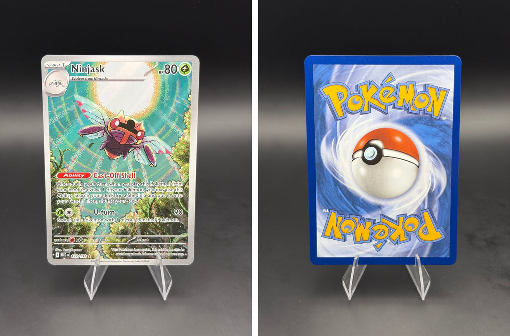 Front + Back scan