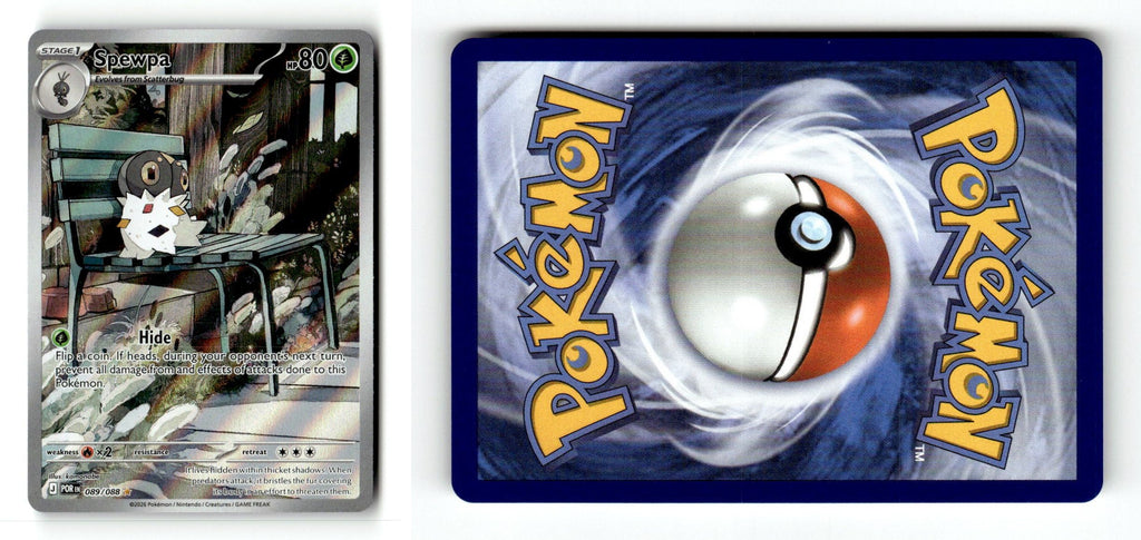 Front + Back scan