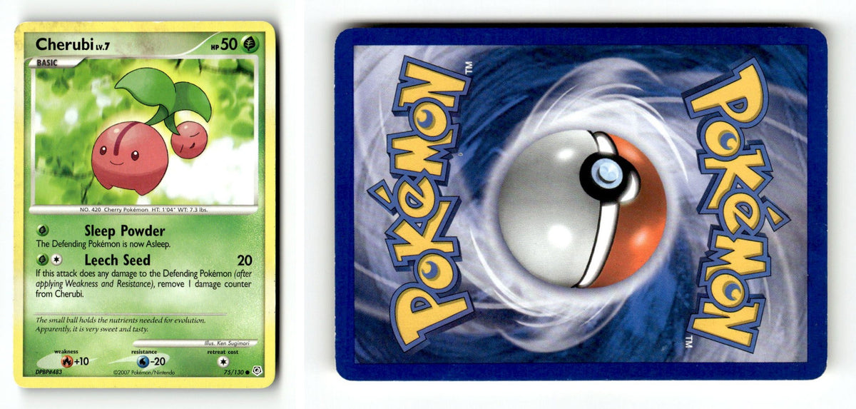 Front + Back scan