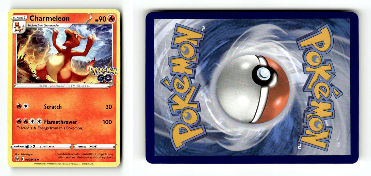 Front + Back scan