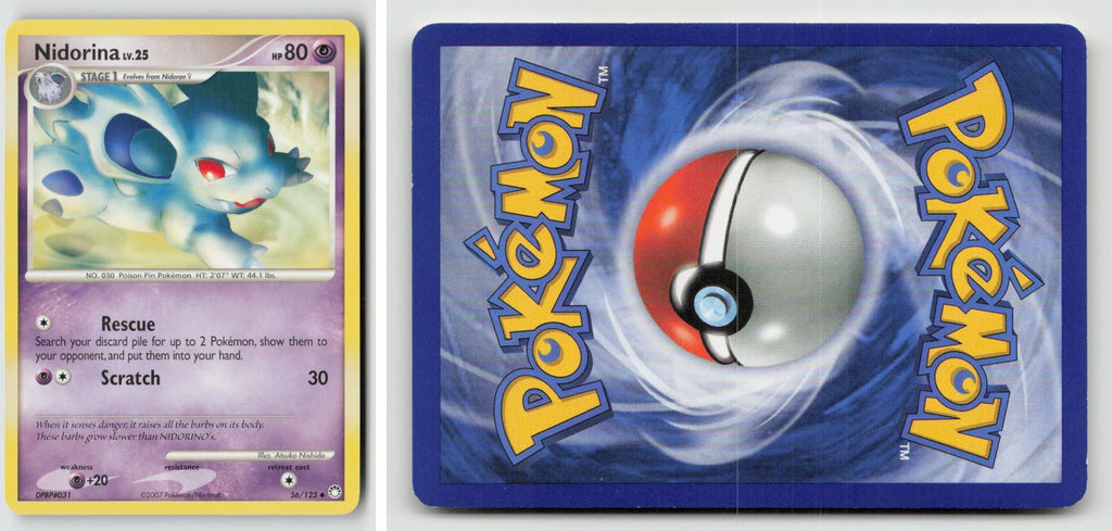 Front + Back scan