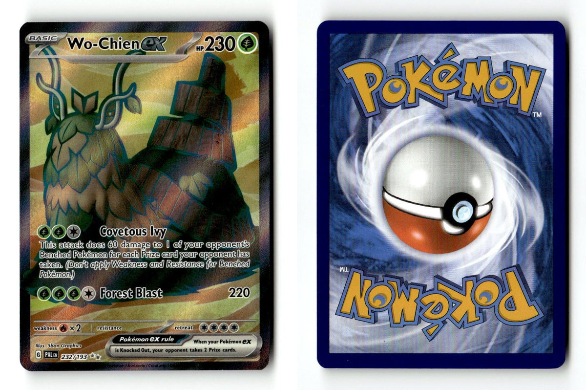 Front + Back scan