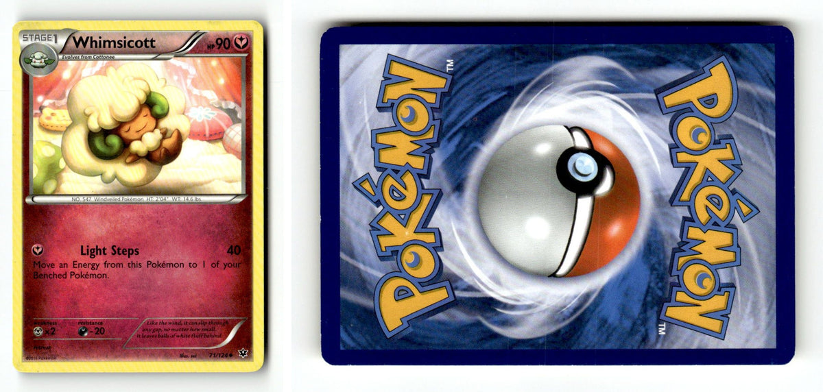 Front + Back scan