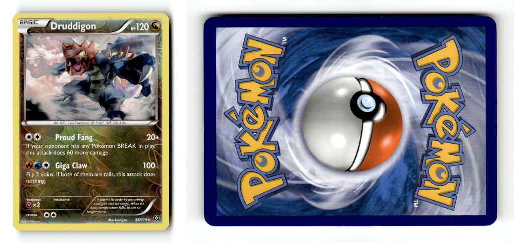 Front + Back scan
