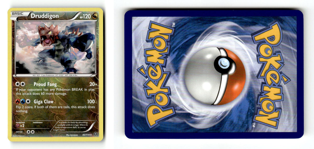 Front + Back scan